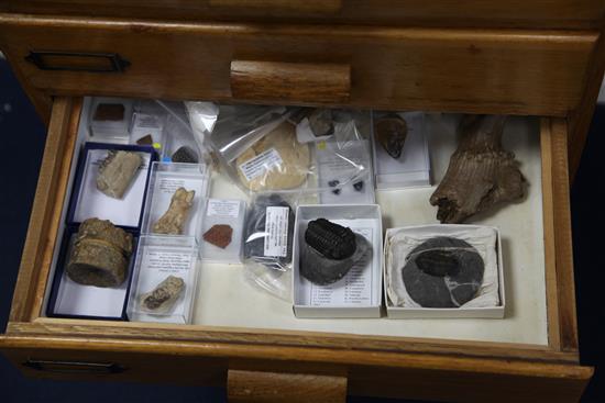 A collectors chest of beetles, mineral and fossil specimens, 3ft 5in.